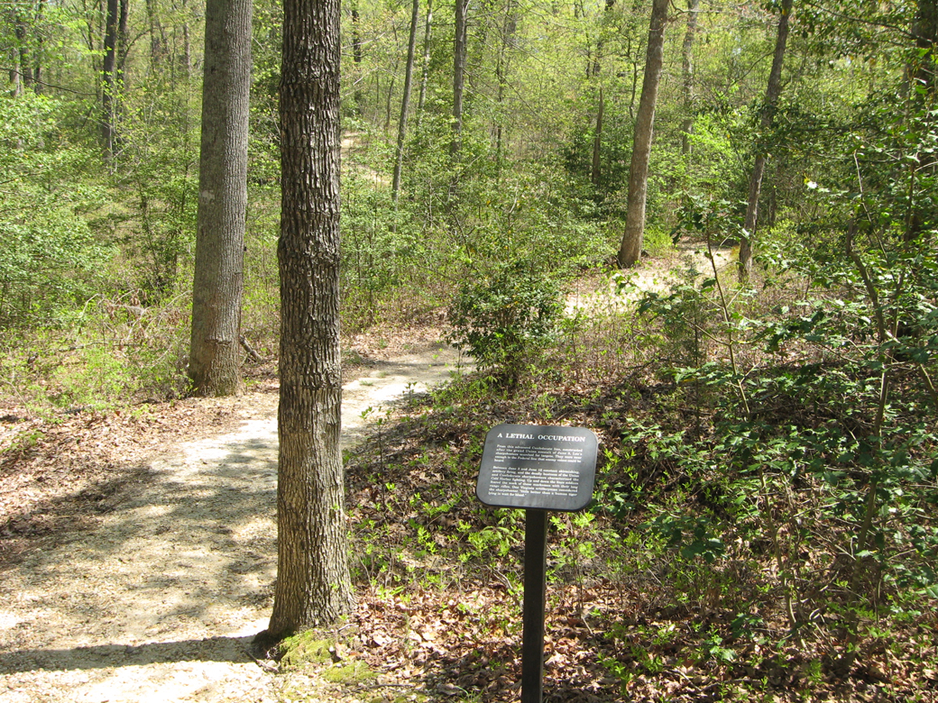 The "A Lethal Occupation" trailside marker on the Cold Harbor battlefield