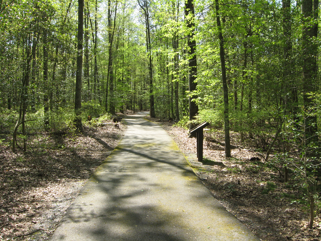 The Hanover County Parks Cold Harbor Battlefield walking trail