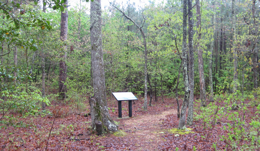 'Breaking the Line' wayside marker on the White Oak Road battlefield outside Petersburg, Virginia