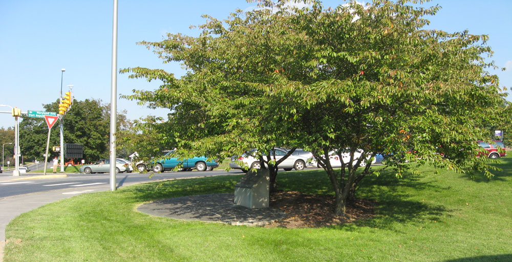 Monument to Confederate General Turner Ashby