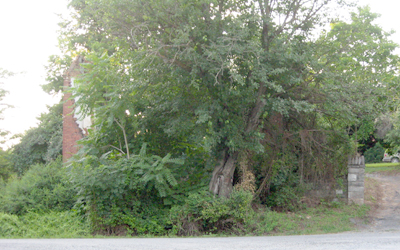 The ruins of Miller's Mill on the Cedar creek battlefield