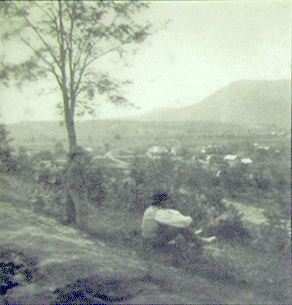 Detail from the Stonewall's Surprise - Banks’s Fort wayside marker is in Strasburg, Virginia