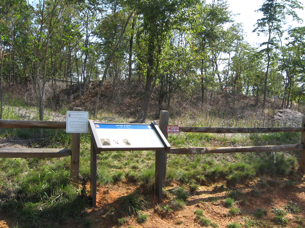 Star Fort Guardian of Winchester