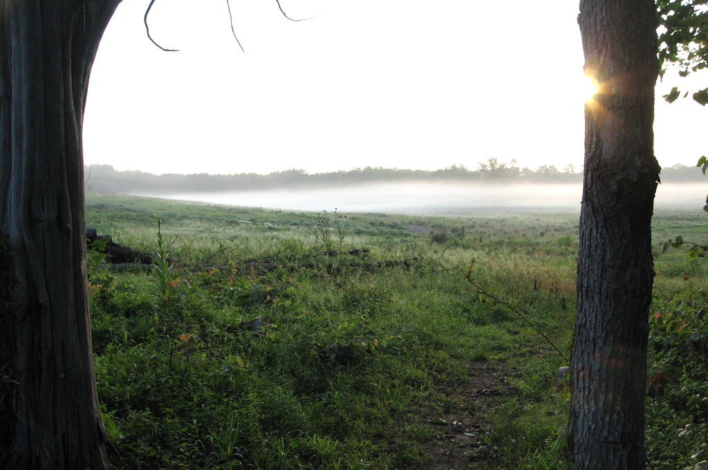 The Deep Cut loop trail on the Manassas battlefield