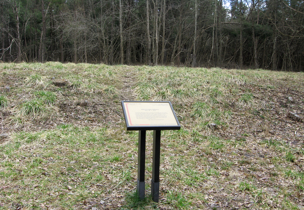 The 45th Georgia Infantry trailside marker is along the Unfinished Railroad, reached from Stop 6 on the Manassas Battlefield Driving Tour.