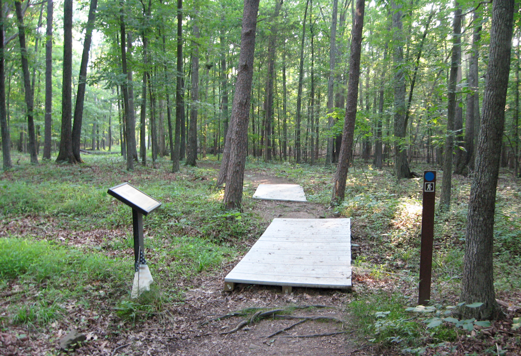 The 20th New York State Militia trailside marker is on the Deep Cut loop trail at Stop 7 of the Manassas Battlefield Driving Tour.