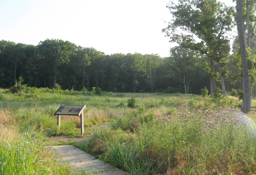 The Rock Fight wayside marker is on the Deep Cut loop trail at Stop 7 of the Manassas Battlefield Driving Tour.