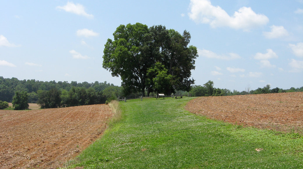 Burial Place of Stonewall Jackson's Arm at Ellwood on the Wilderness battlefield