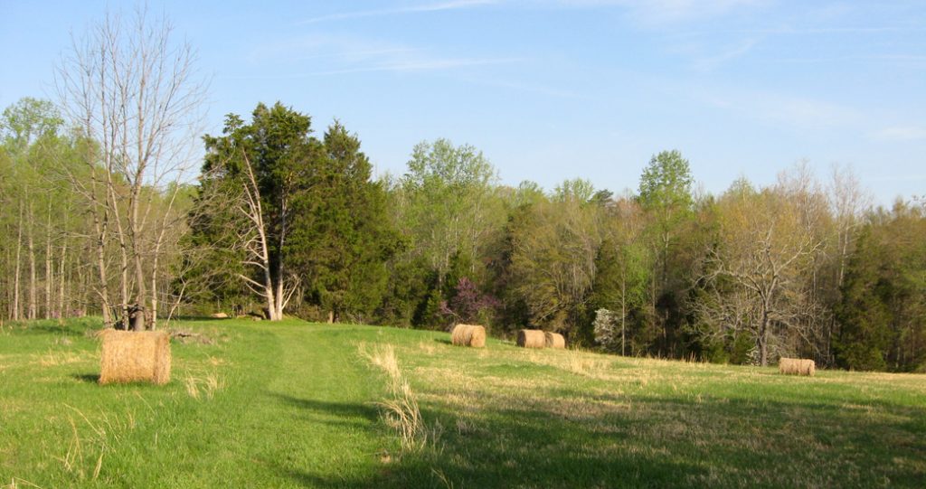 Higgardson Farmhouse site on the Wilderness Battlefield