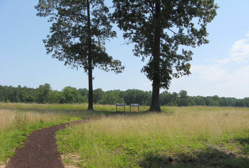 Path to the 'A Wild, Wicked Roar' and 'Confederate Line' wayside markers on the Wilderness battlefield