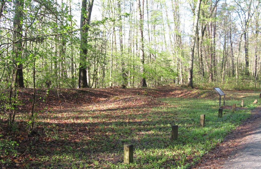 View of earthworks along Warren's Line on the Laurel Hill walking trail