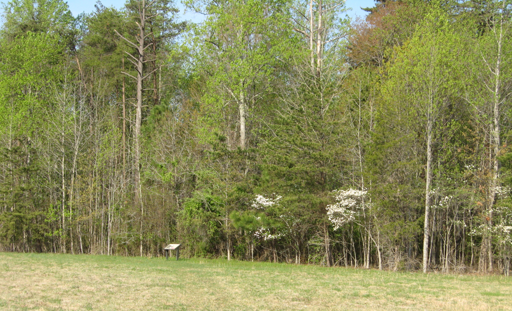 Site of the Widow Tapp House on the WIlderness battlefield
