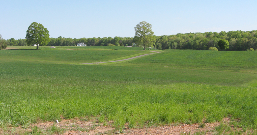 Vista at Stop 8 - Jackson's Flank Attack, on the Chancellorsville Battlefield Auto Tour