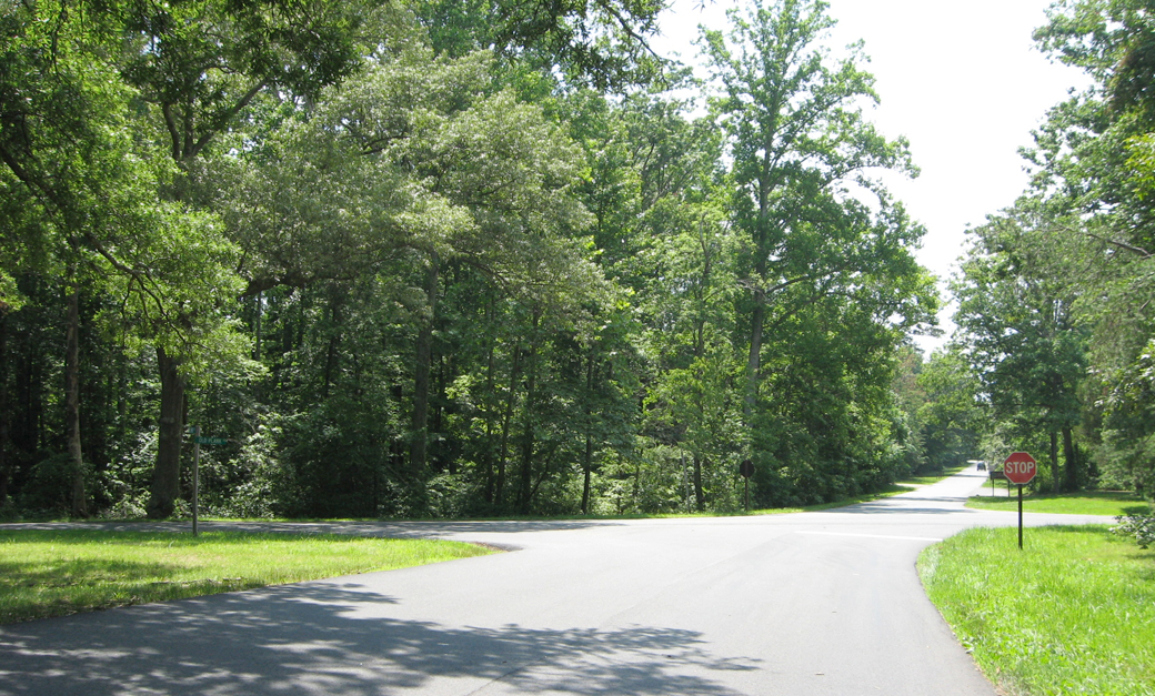 View west from McLaws Drive, which turns into Furnace Road past the intersection. The cross roads is Old Plank Road, but was known as the Orange Plank Road at the time of the Civil War.