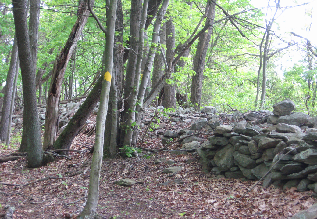 Stone wall near the North Carolina monument on the South Mountain battlefield