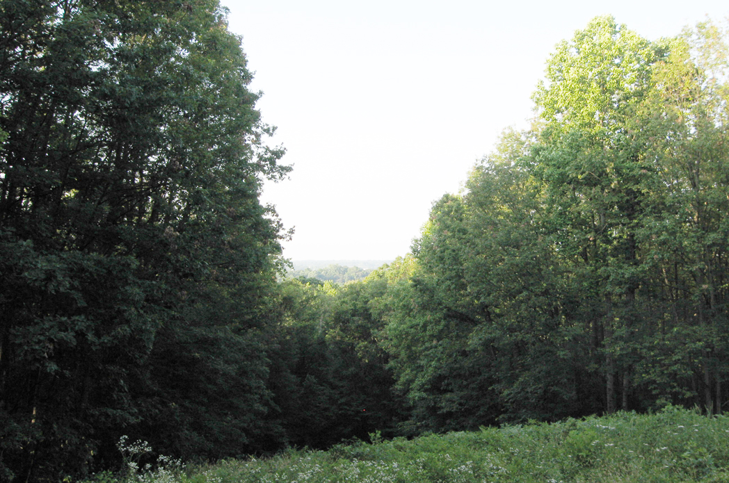 The view from Lee's Hill on the fredericksburg battlefield