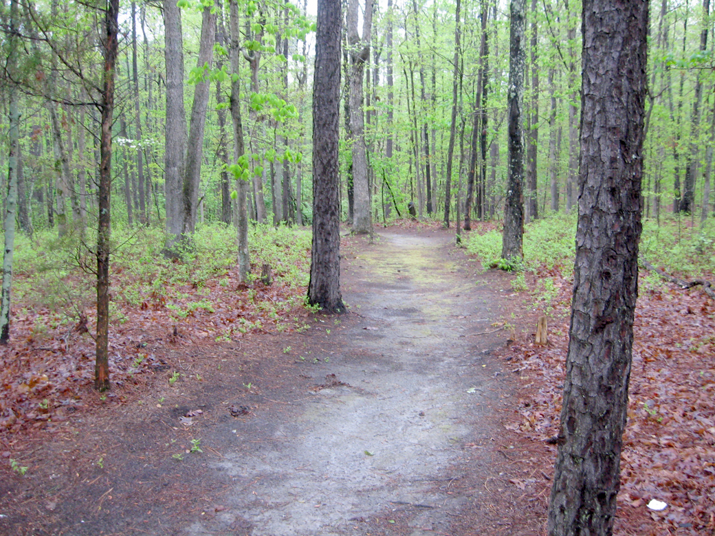 Trail to the monument on the site where Confederate Lieutenant General A.P. Hill was killed on April 2, 1865