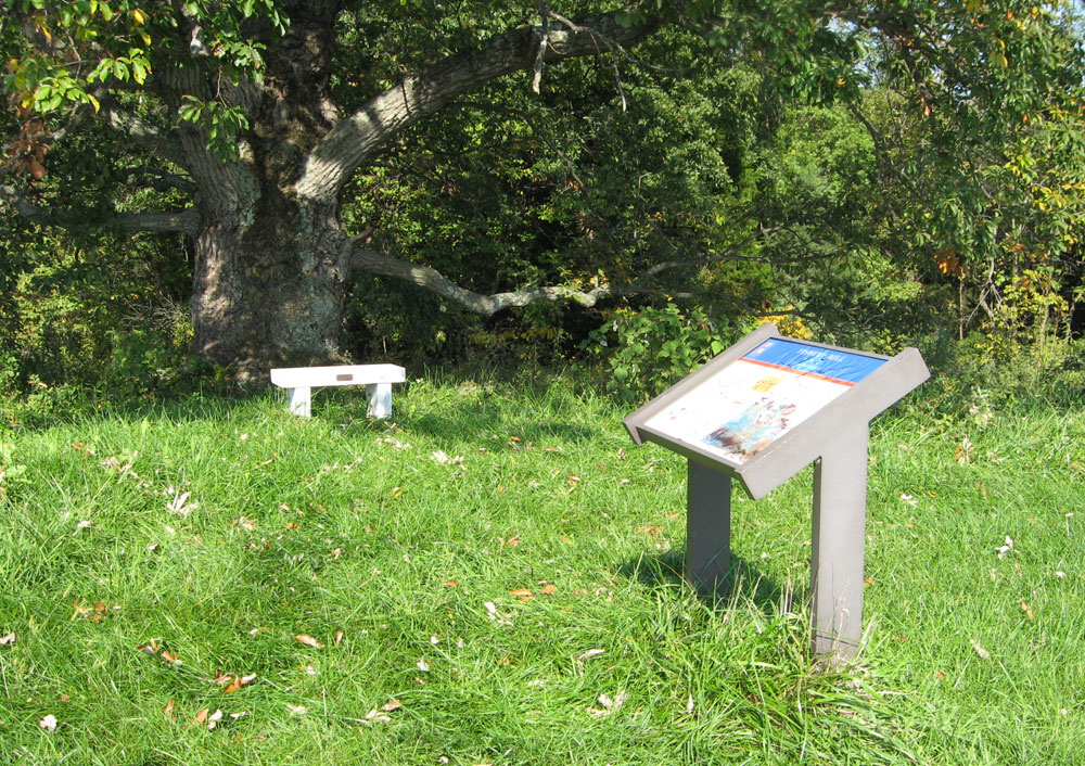 The Fisher's Hill - Union Flank Attack wayside marker and the lookout tree