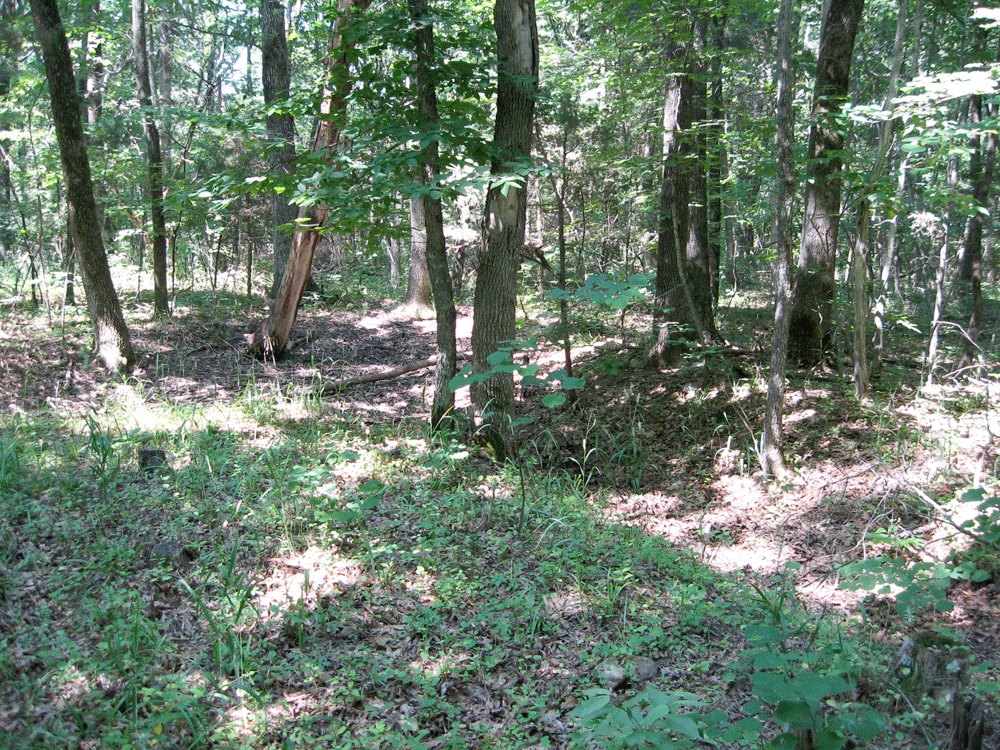 Union trenches on the Cedar Creek battlefield