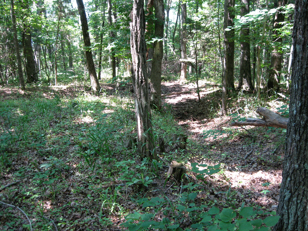 Union trenches on the Cedar Creek battlefield