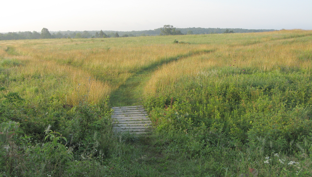 The Deep Cut loop trail on the Manassas battlefield