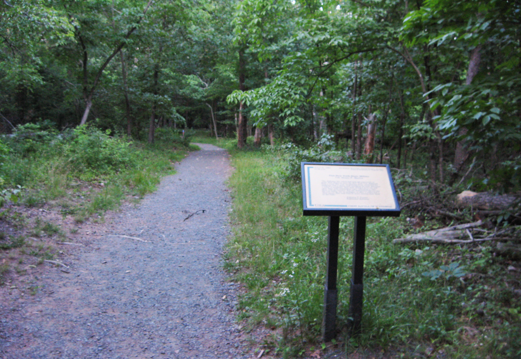 The 71st New York State Militia trailside marker is on the Matthews Hill Loop Trail